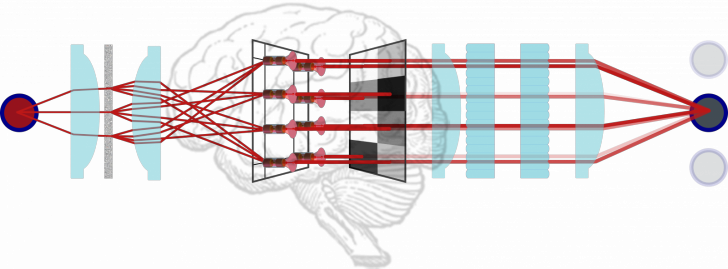 Information processing in photonic networks